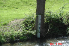 West Houston Avenue/Black Hole Creek Gauge